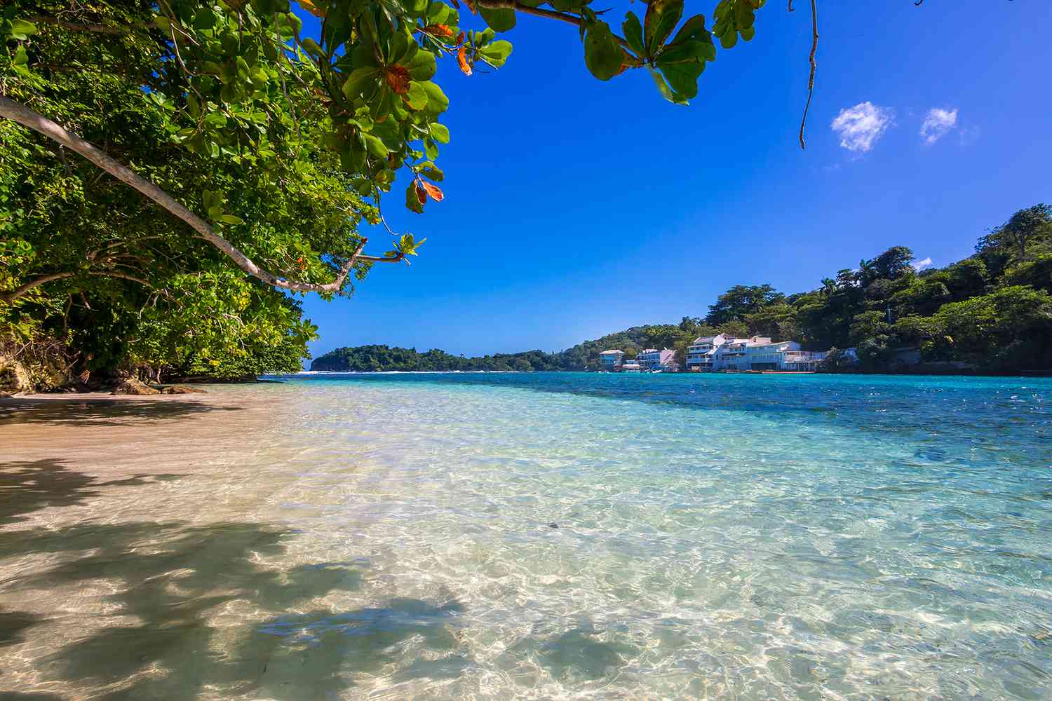 The Best Jamaican Tours