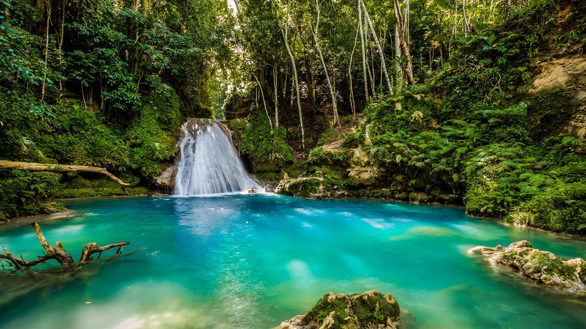 The Best Tours in Jamaica